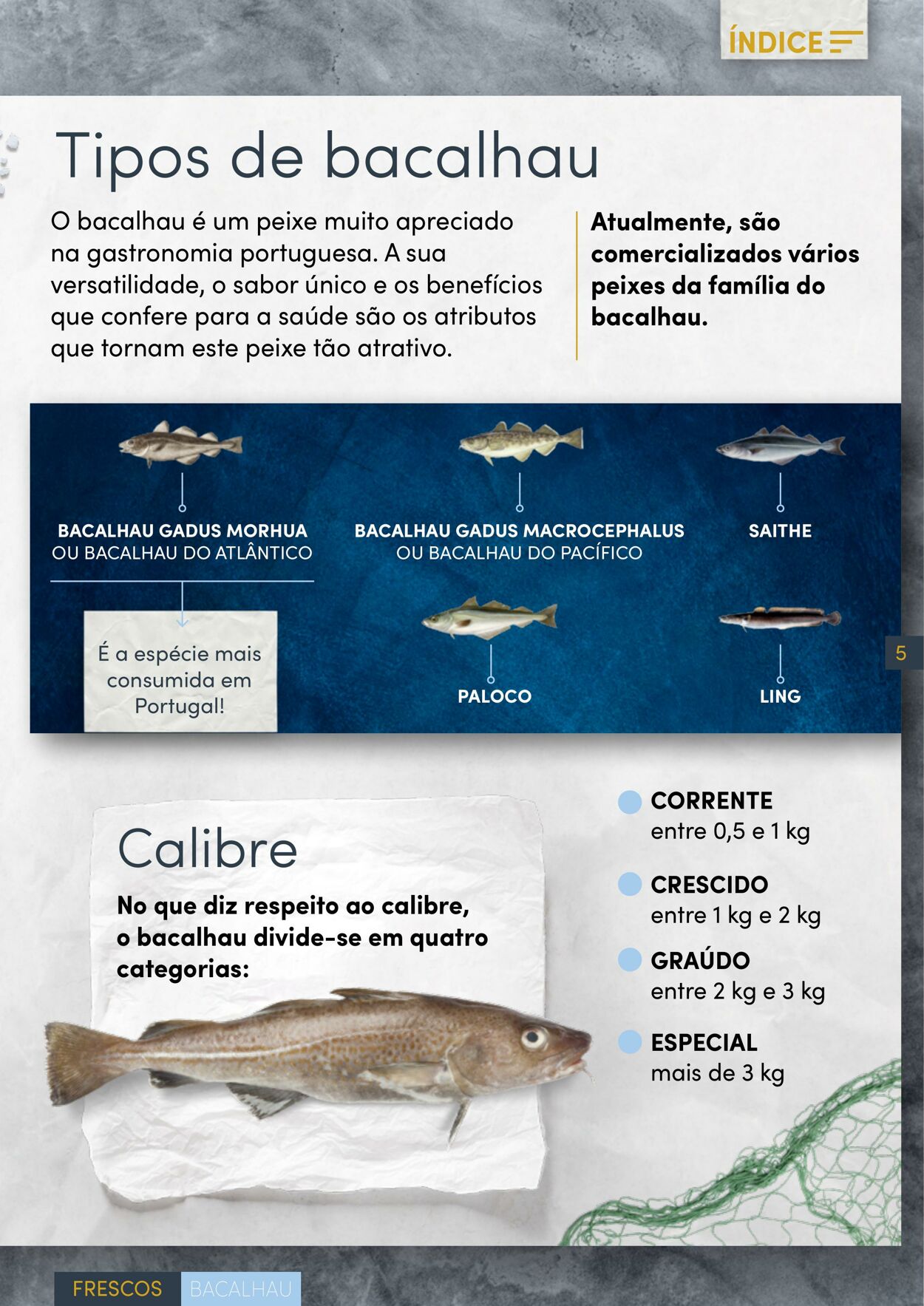 Folheto Continente 01.12.2022 - 26.12.2022