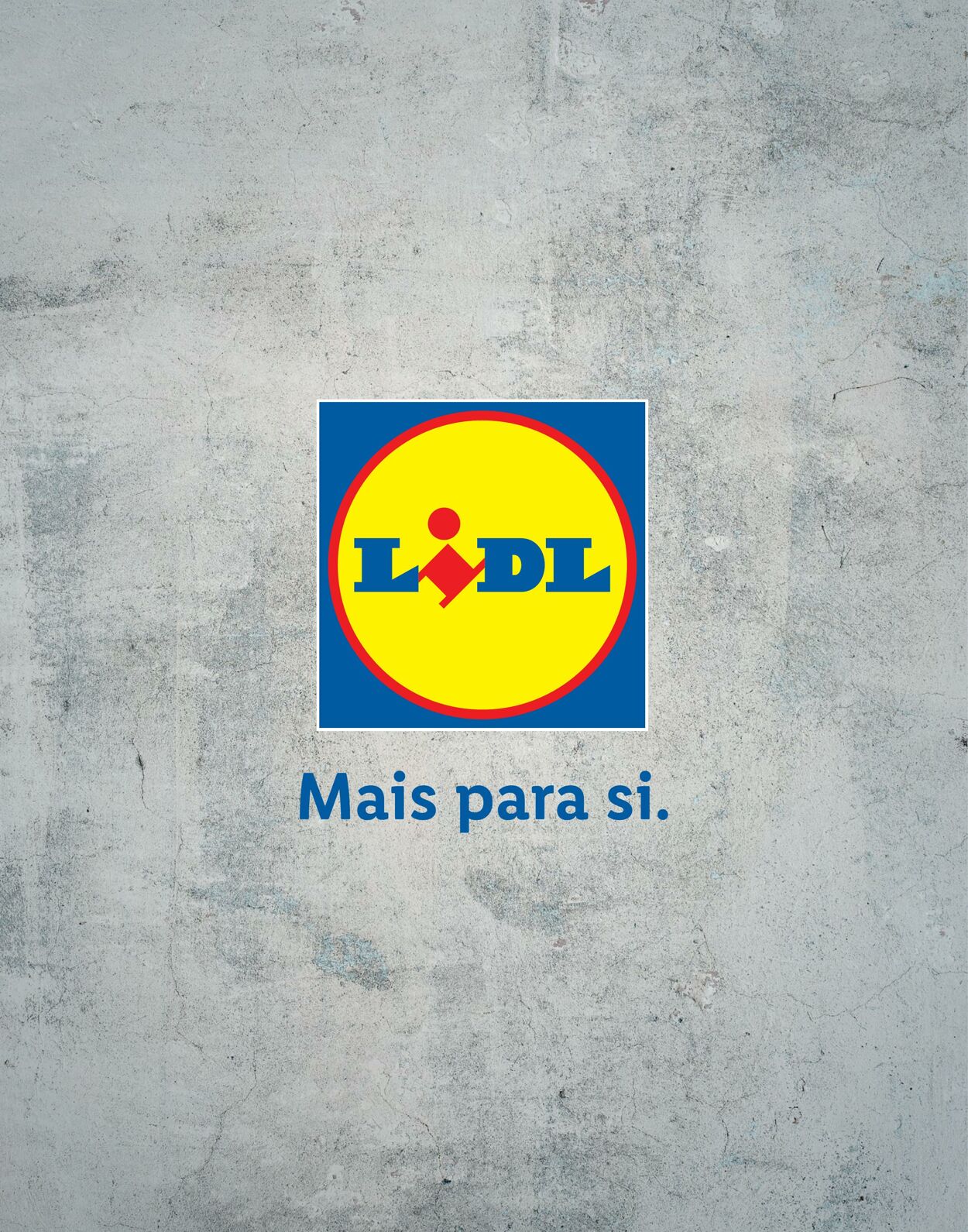 Folheto Lidl 08.12.2022 - 30.04.2023