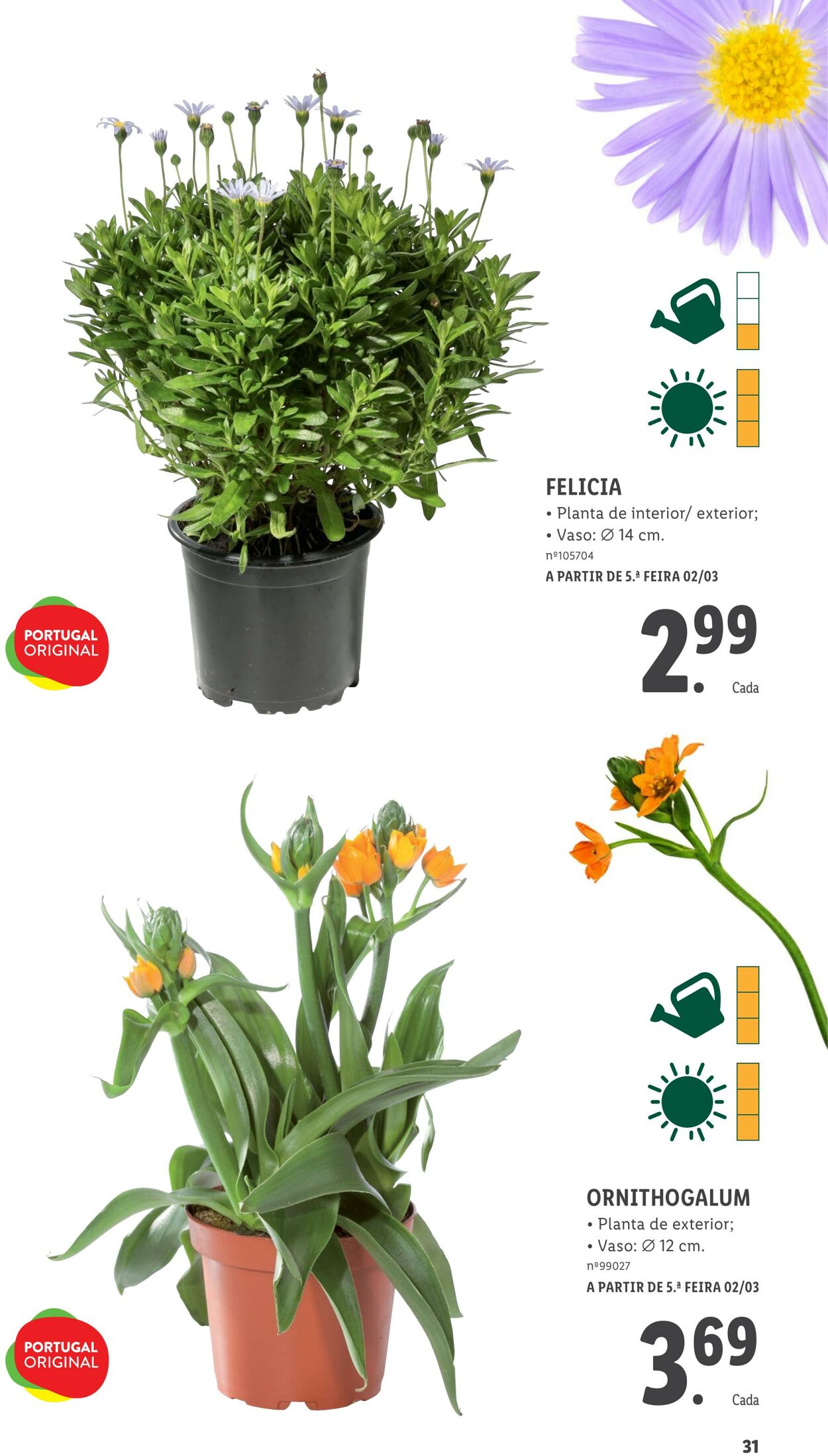 Folheto Lidl 01.03.2023 - 31.03.2023