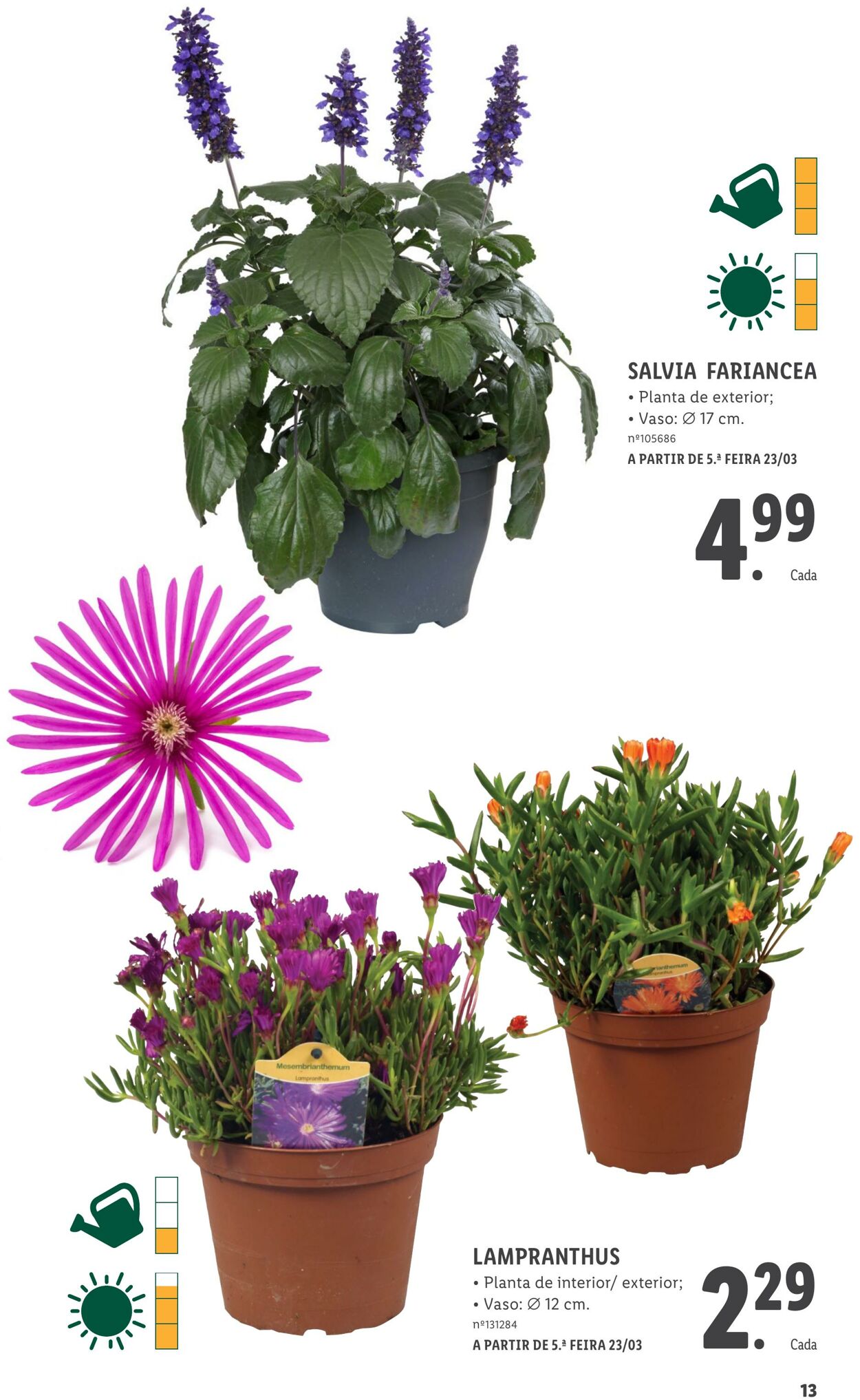 Folheto Lidl 01.04.2023 - 31.05.2023