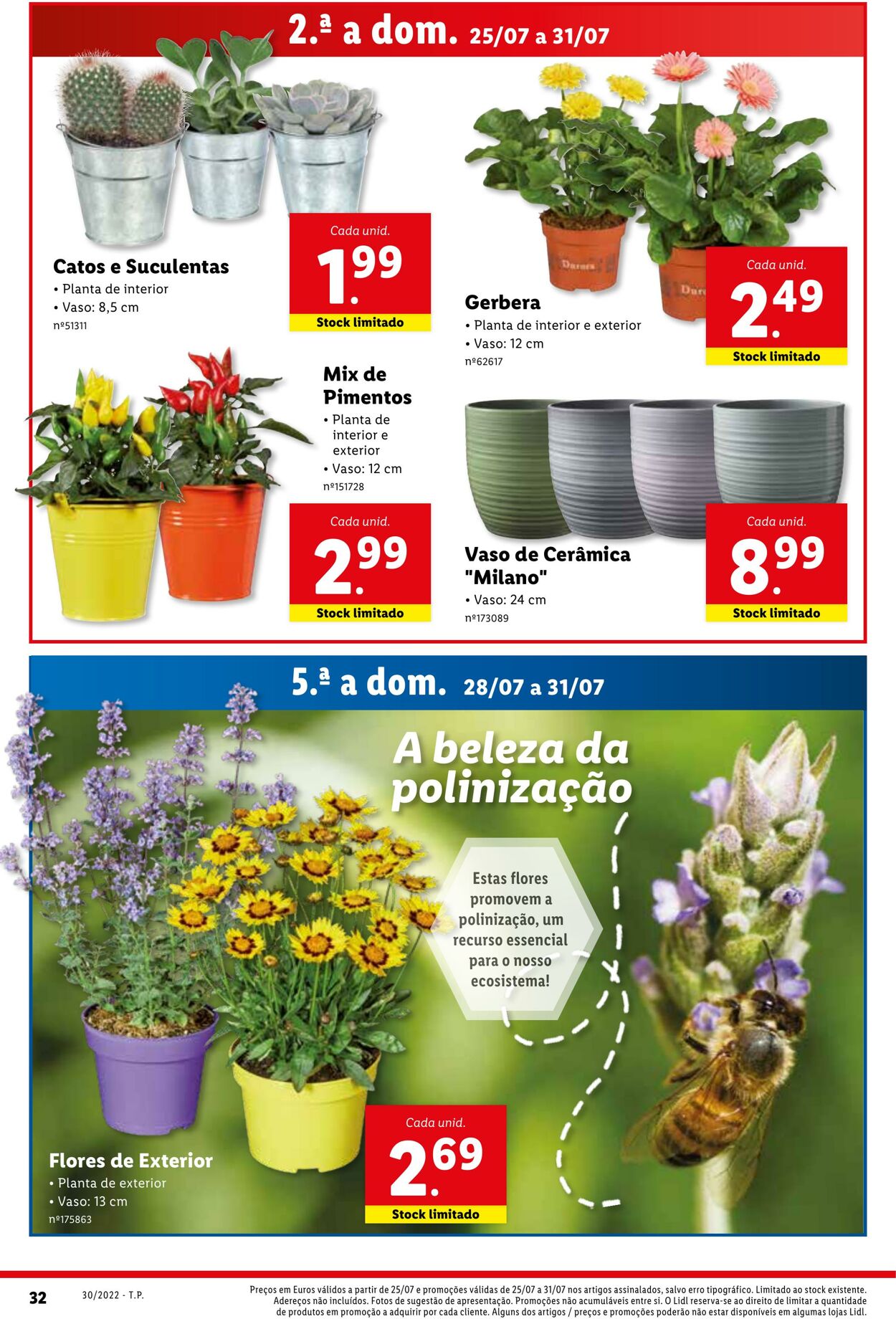 Folheto Lidl 25.07.2022 - 31.07.2022