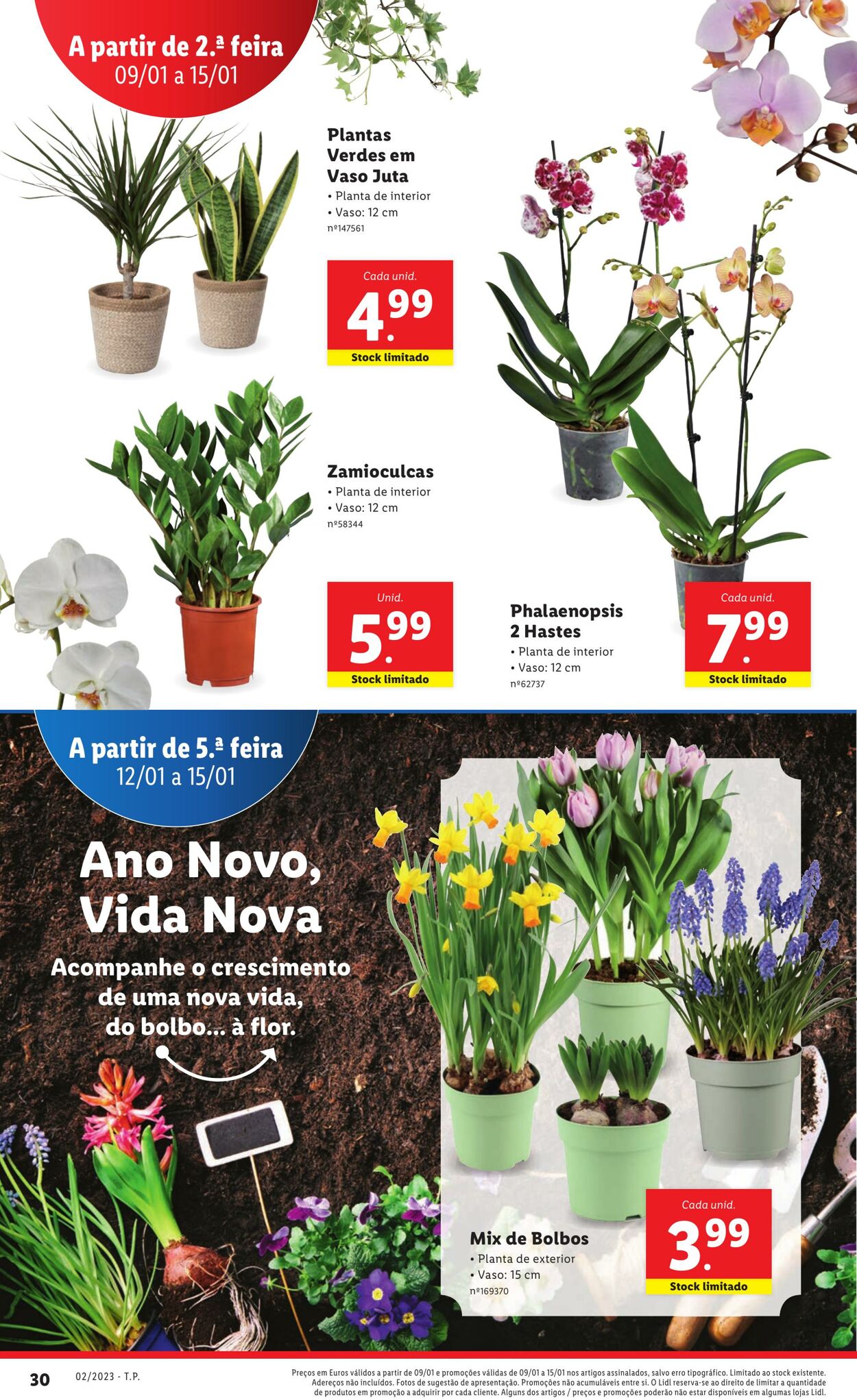 Folheto Lidl 09.01.2023 - 15.01.2023