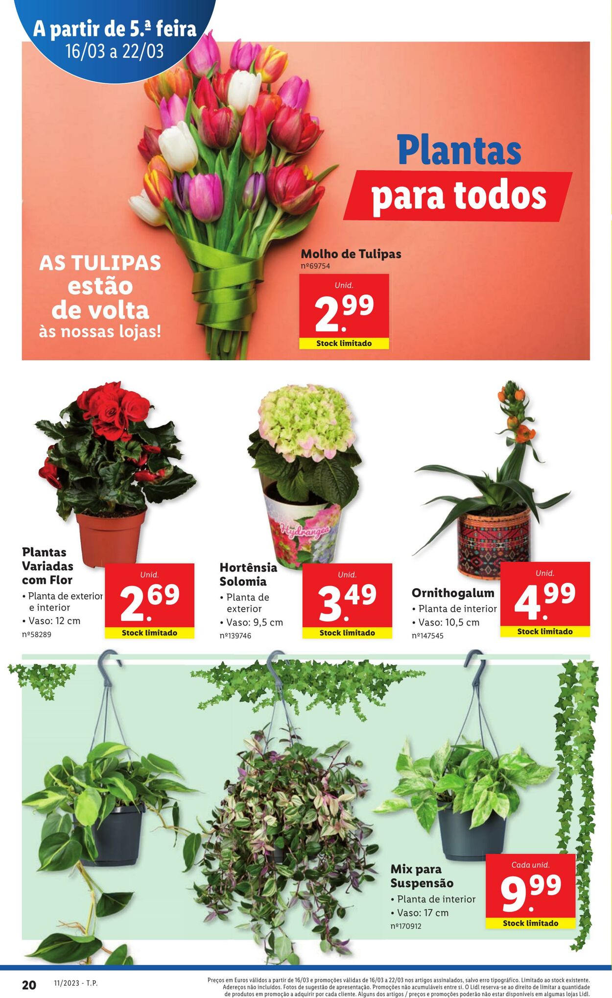 Folheto Lidl 16.03.2023 - 22.03.2023