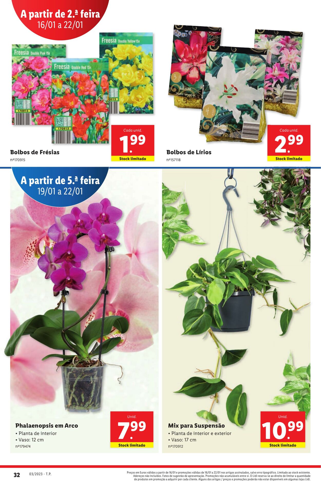 Folheto Lidl 16.01.2023 - 22.01.2023