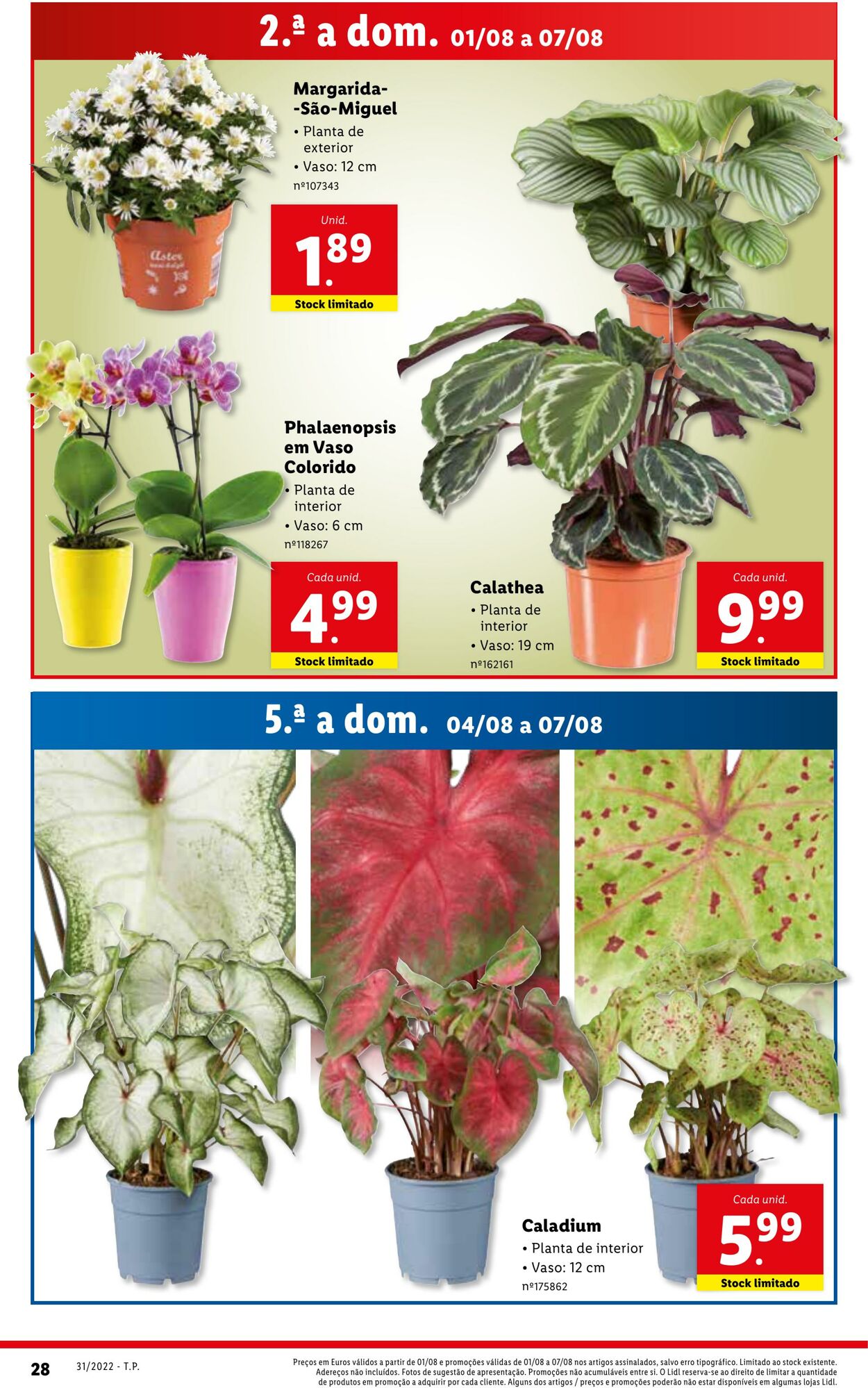 Folheto Lidl 01.08.2022 - 07.08.2022