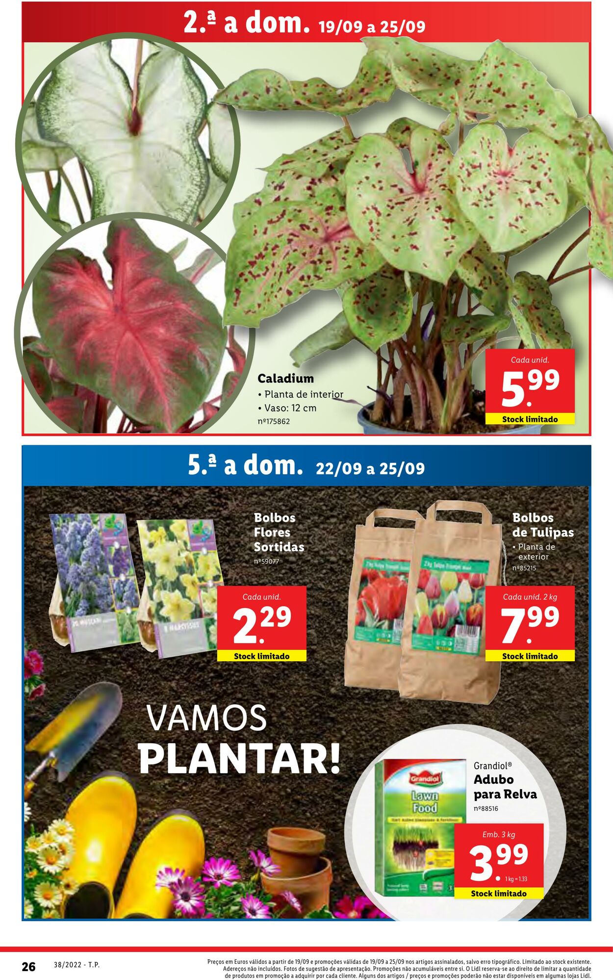 Folheto Lidl 19.09.2022 - 25.09.2022