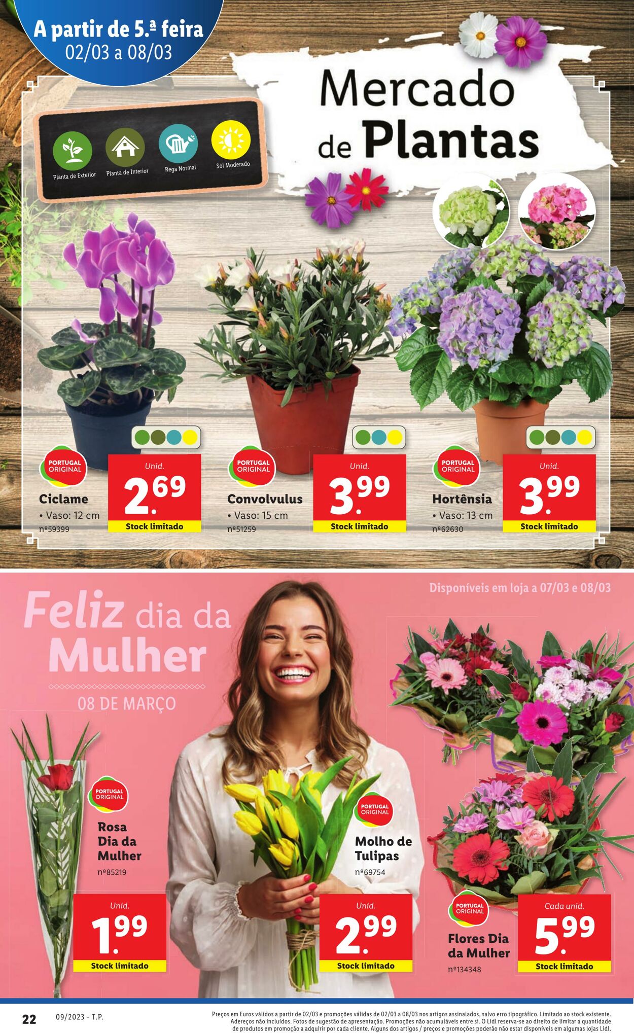 Folheto Lidl 02.03.2023 - 08.03.2023